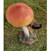 Vivid Arts - Brown and Red Robin on Toadstool Home