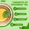 Spearmint Leaf Herbal Tea - Caffeine Free, 40 Tea Bags