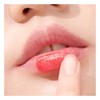 후르디아 3+1 석류 허니 3 in 1 립밤 (플럼핑+컬러+보습) Hurdia