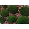 chromavogue Live Velvet Pillow Moss cushions SALE UPDATE! - 3,
