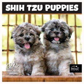 MICASA Shih Tzu Puppies 2025 Wall Calendar 12 Month | 12" x 24" Open | Thick & Sturdy Paper | Giftable | Calendar 2025