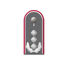 #A5431 Sticker Colonel Shoulder Flap German Army Rank Sticker 10 x 4 cm