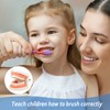 Dental Model 2 Pieces Children's Teeth Model Dental Care Model