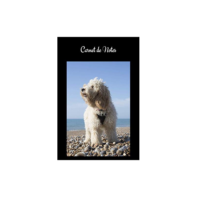 Carnet de Notes: Cockapoo. Cahier de notes chien Cockapoodle ou