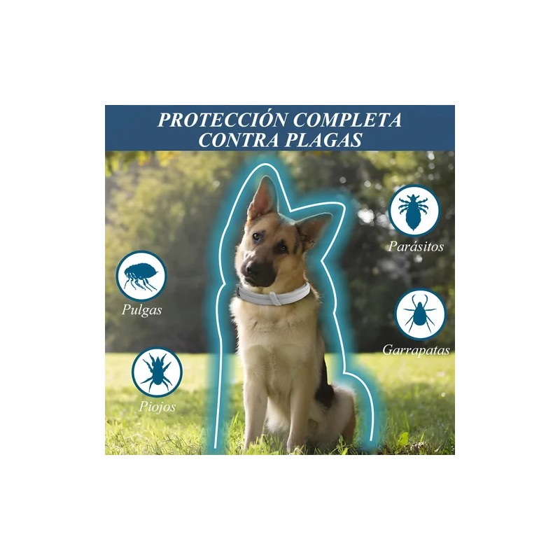 Collar Repelente De Pulgas Y Mosquitos Para Perros Y Gatos