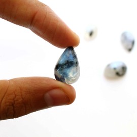 Gempires Natural Rainbow Moonstone with Black Tourmaline Gemstone Wholesale Cabochons Lot Jewelry Making Loose Gemstone Polished Decor Healing Crystals Bulk Gemstone (50 Carat)