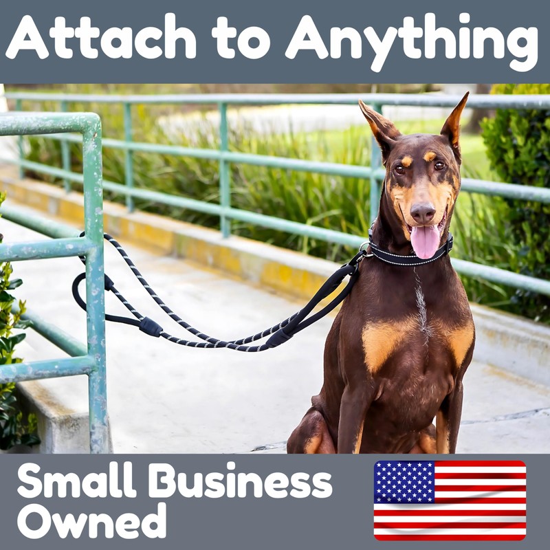 6 Foot Dog Leash, Two Extra Padded Handles, Locking Carabiner