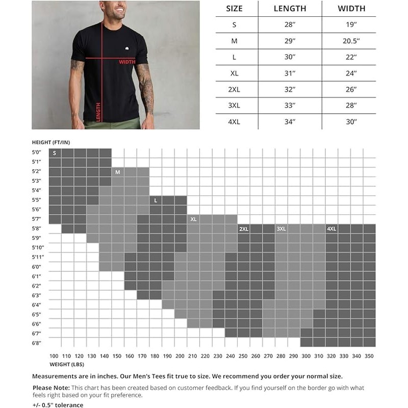 INTO THE AM Men's Plain Basic Tees - Fitted Essential