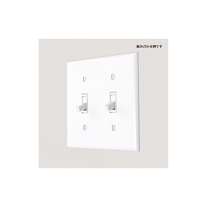 COOPER 2139W American Switch Plate (Toggle Switch), White, 2-gang