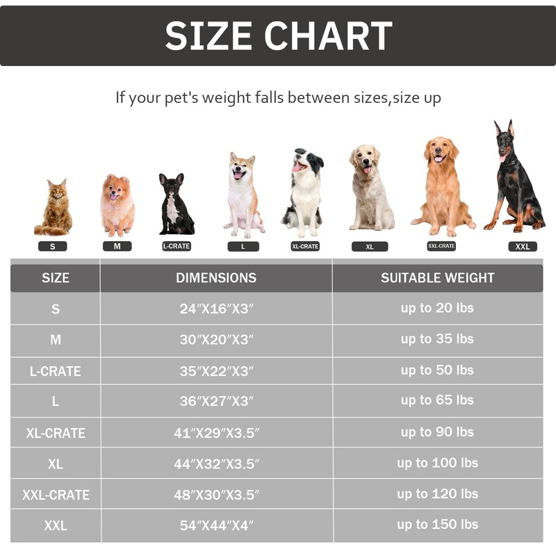 Bedfolks Orthopedic Dog Bed for Medium Dogs - Egg Foam