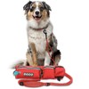 DOCO Retractable Bungee Dog Leash for Running Walking Jogging, Training,