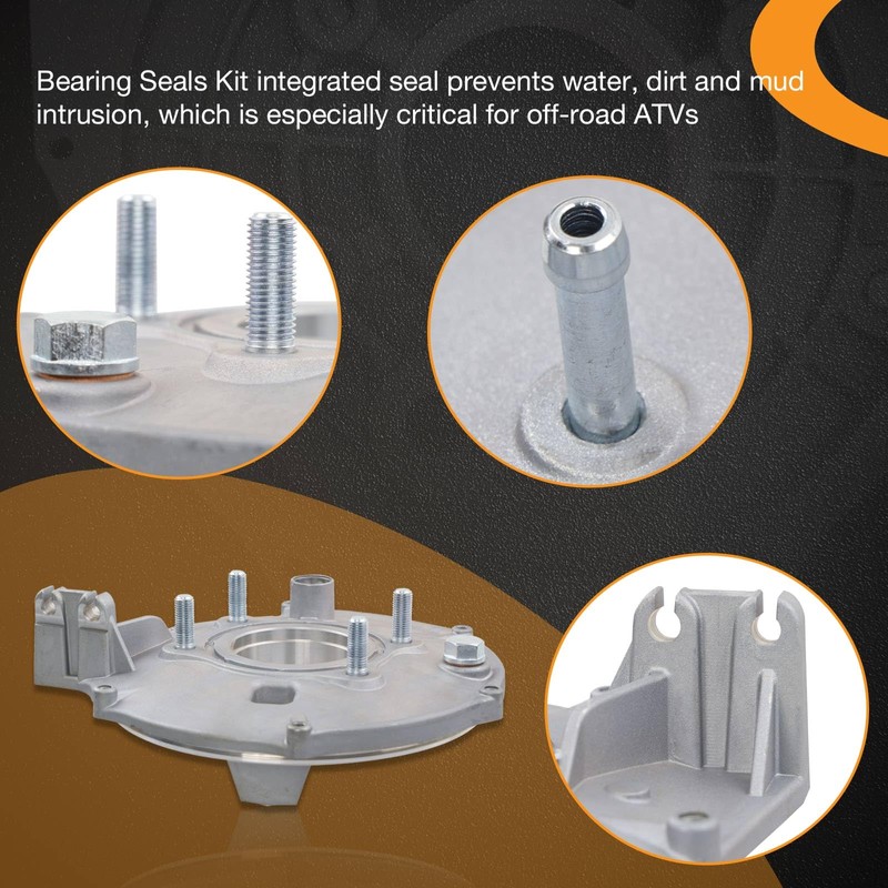 Rear Brake Backing Plate & Bearing Seals Kit Compatible with