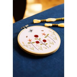 DMC Embroidery Kit Butterfly Garden by Aurora Menendez - Intermediate