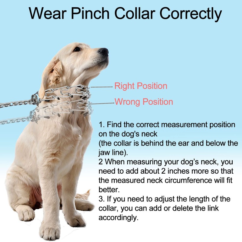 Darkyazi Durable Pinch Collar Stainless Steel Dog Adjustable Pet Training