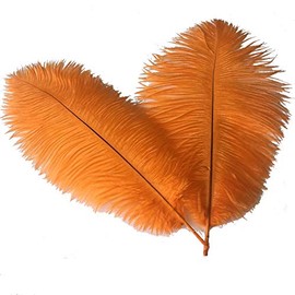 Sowder 14-16inch(35-40cm) Ostrich Feathers Plume for Wedding Centerpieces Home Decoration Pack of 10pcs(orange)