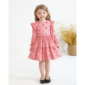 Toddler Girl Clothes Fall Winter Dresses Cute Pink Long Sleeve Little Girls Dress Ruffle Crewneck Casual Floral Boho Outfits 3T 4T Girl Clothes