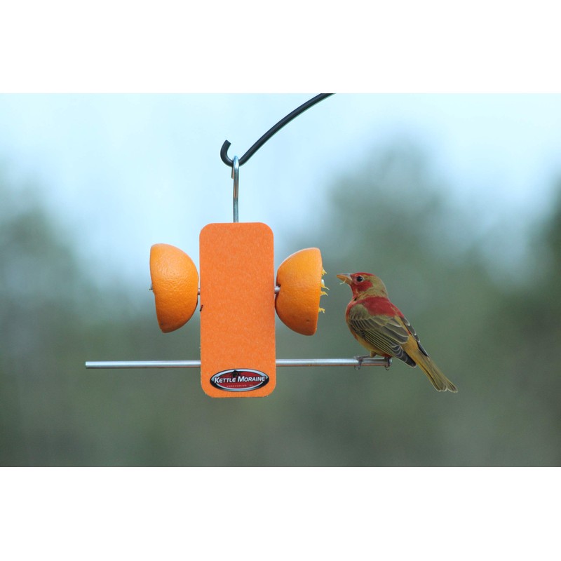 Kettle Moraine Recycled Single Oriole Orange Fruit Stick Feeder