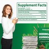 PENHOMENT Moringa Leaf Tea Bags with Ashwagandha - 40 Tea