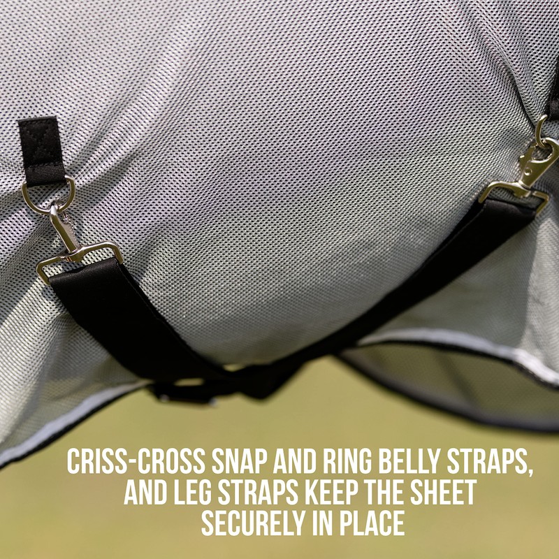 Professional's Choice Comfort Fit Fly Sheet | Cool and Breathable