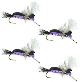 The Fly Fishing Place Hippie Stomper Black Purple Foam Body Trout Bass Dry Fly Fishing Flies - Set of 4 Hook Size 14