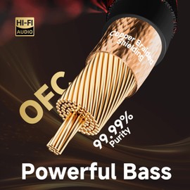 TODN HiFi Digital Coaxial Audio Cable for Audiophile 75 Ohm SPDIF Coax with OFC Core, Dual Shielded, 24K Gold-Plated Plug (3ft /1m)