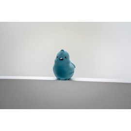 Tikiri Bird Garden Friend Fully Enclosed All Rubber Bath Teether Toy