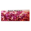 Rose Petals