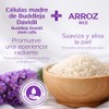 WEUD Skin Care Coreano 5 En 1 Kit, con 1