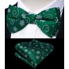DiBanGu Boys Christmas Bowtie Set Silk Xmas Holiday Pre-tied Bowtie