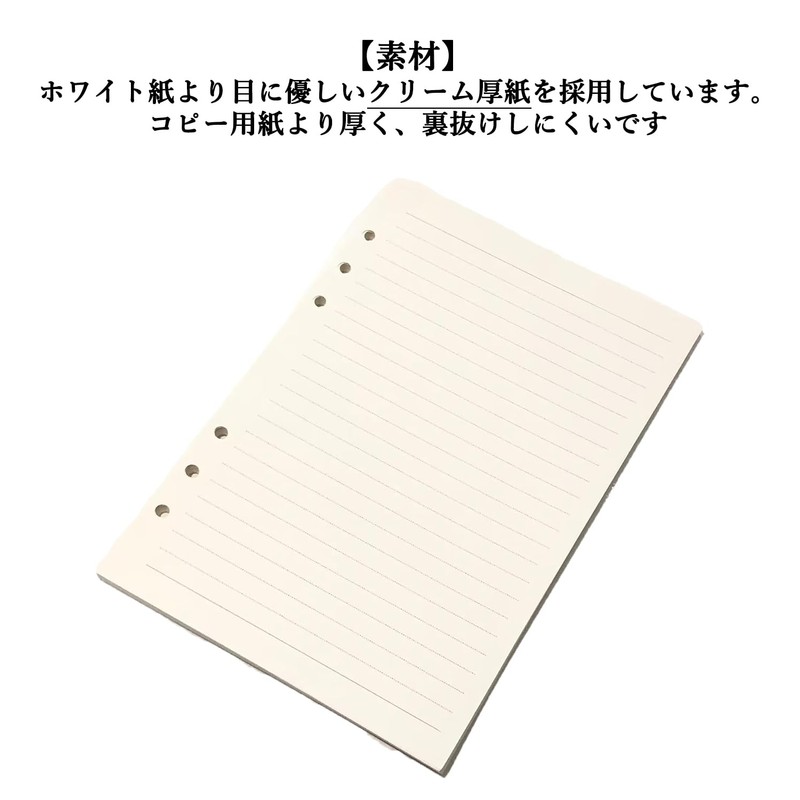 Audiofan Personal Organizer Refill, A5 Size, 6 Holes, Horizontal Ruled,