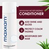 HAIR CLUB Daily Moisturizing Conditioner for Dry Damaged Hair, 8