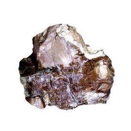 5 Pound 9.8 Oz 2546 Gram Bruneau Banded Brown Tan White Seam Oregon Opal Rough