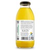 Just Ice Tea Organic Iced Tea, 16 Fl Oz Glass