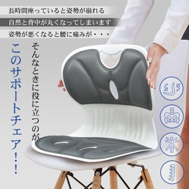Alice in the Land of Miscellaneous Goods Posture Support Chair, Stoop, Waist, Butt, Correction, For Long Periods of Sitting, Chair, Office, Desk Work, Chair, Car Seat (Black)