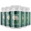 Pelican Vitamins SYNAPTIGEN- Brain Support- 5 Bottles-300 Capsules