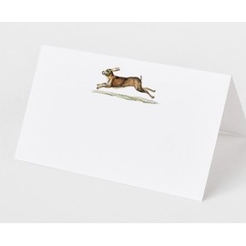 Place Cards with Rabbit (Hare) for Showers and Dinner Parties. Table Tent Style, Scored for Easy Folding (12)