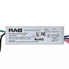 RAB LED Driver 69506 RDD-MEC-038-A0700-RBNL 700mA 25-38VDC Output 27W Max