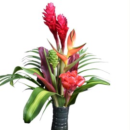 Hawaiian Tropical Taste Fresh Flower Arrangement - GROWN IN HANA, HAWAII TO ORGANIC STANDARDS - Includes Bold Tropical Flowers & Greenery - A Total of 14 Stems!