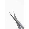 Rubis Coribri Small Scissors [Tapered Tip] [Genuine Product]