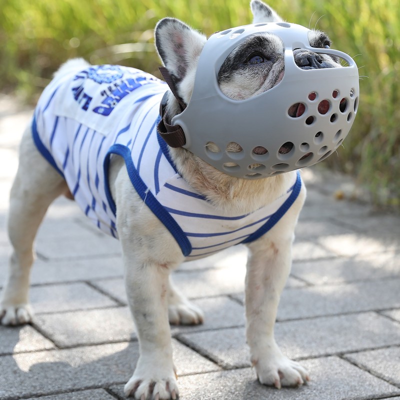 Dog Muzzle for Short Snout Dogs Breathable Holes Prevent Biting