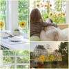 ZYEKIU Pack of 40 Fly Traps Indoor Fly Catcher Floral