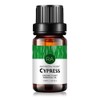 Cypress Essential Oil 100% Pure, Aromatherapy Therapeutic Grade Essential Oil