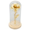 Rose in Glass Dome Lucky Beautiful Symbolism Romantic Enchanted Rose