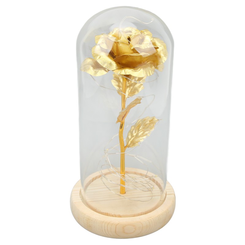 Rose in Glass Dome Lucky Beautiful Symbolism Romantic Enchanted Rose