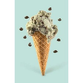 Lakeland Mint Choc Chip Flavour Ice Cream Powder