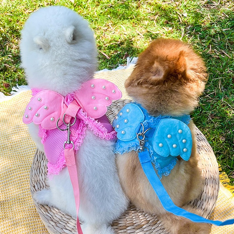 HDKUW Dog Harness with Leash Set, Dog Harness with Angel