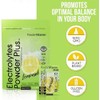 PowderVitamin Electrolytes Powder Plus, cetogénico, limonada, cero azúcar, 1000 mg