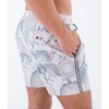 Phantom Naturals Sessions Men's Boardshorts 16 Inches, Bone 3, 42