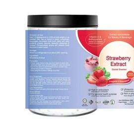 Erdbeerpulver - Standardisierter Extrakt 200g rein 100% natürlich - Für Suppen, Säfte und Gebäck