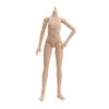 PICCODO BODY20 Doll Body PIC D004N Natural